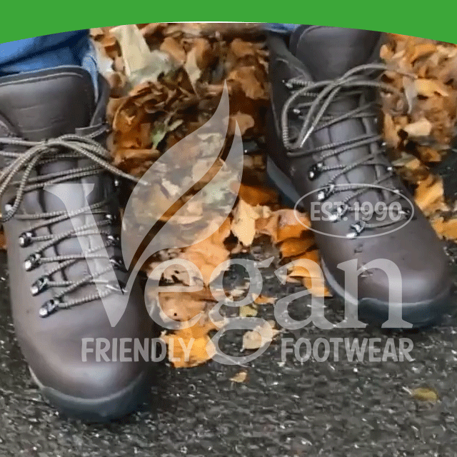 snowdon boot